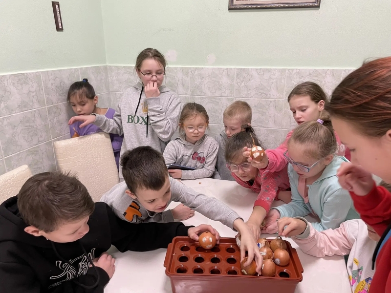 Зимняя сказка на подоконнике: выращиваем лук с удовольствием