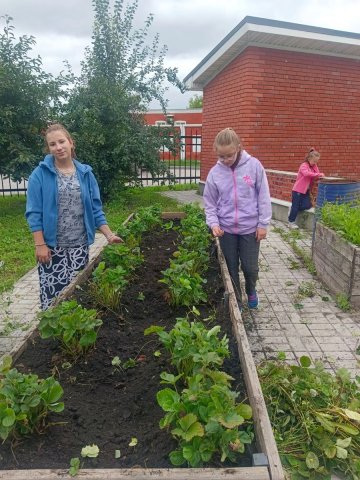 Урожаю быть!  В центре «Надежда» бурно кипит работа на грядках