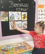 Изучаем птиц