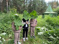 Прогулка по Щуровскому лесу
