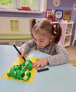 Юные исследователи природы: знакомство с деревьями и кустарниками