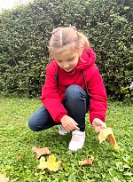 Осенняя прогулка в золотом убранстве