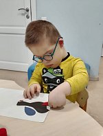 Изучаем птиц