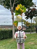 Осенняя прогулка в золотом убранстве