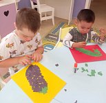 Юные огородники: что растёт на грядке?