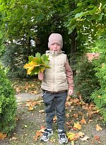 Осенняя прогулка в золотом убранстве