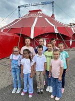 Незабываемое цирковое приключение