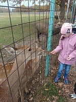 Знакомство с пушистыми и пернатыми обитателями зоопарка «Горки»