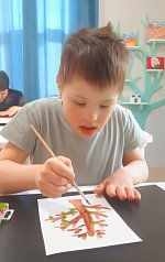 Юные исследователи природы: знакомство с деревьями и кустарниками