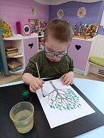 Юные исследователи природы: знакомство с деревьями и кустарниками