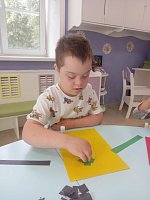 Юные огородники: что растёт на грядке?