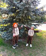 Юные исследователи природы: знакомство с деревьями и кустарниками
