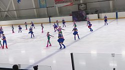 В ледовом дворце «Арктика» г. Видное