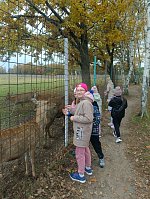 Знакомство с пушистыми и пернатыми обитателями зоопарка «Горки»